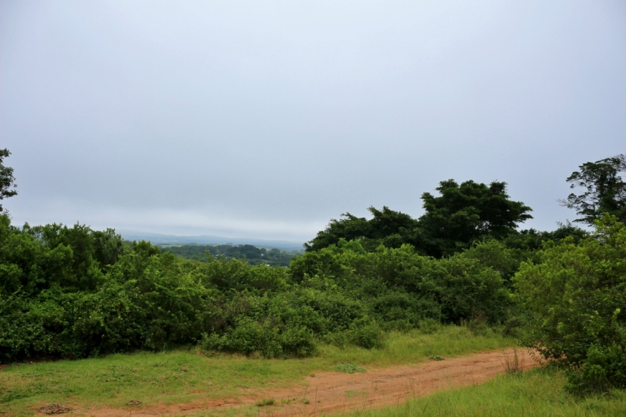 0 Bedroom Property for Sale in Bathurst Eastern Cape